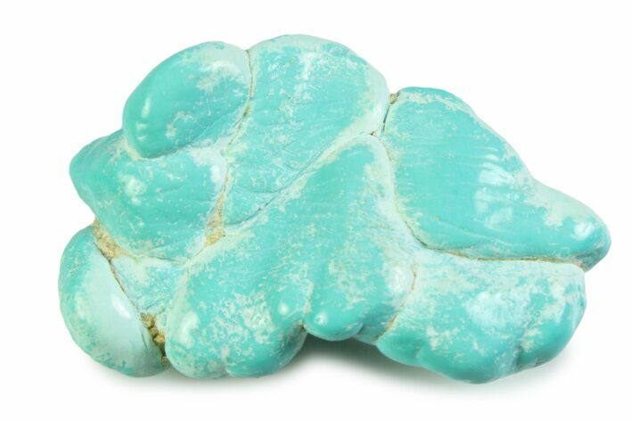 Polished Chilean Turquoise ( grams) Nugget #358845